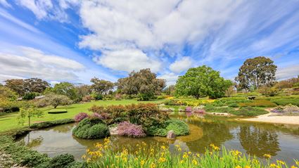 Japanese Garden - Cowra 